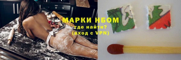 шишки Белоозёрский